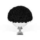Black roses in a silver vase on a white background