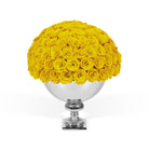 White vase filled with yellow roses on a white background