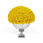 White vase filled with yellow roses on a white background