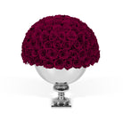 Bouquet of red roses in a silver vase on a white background