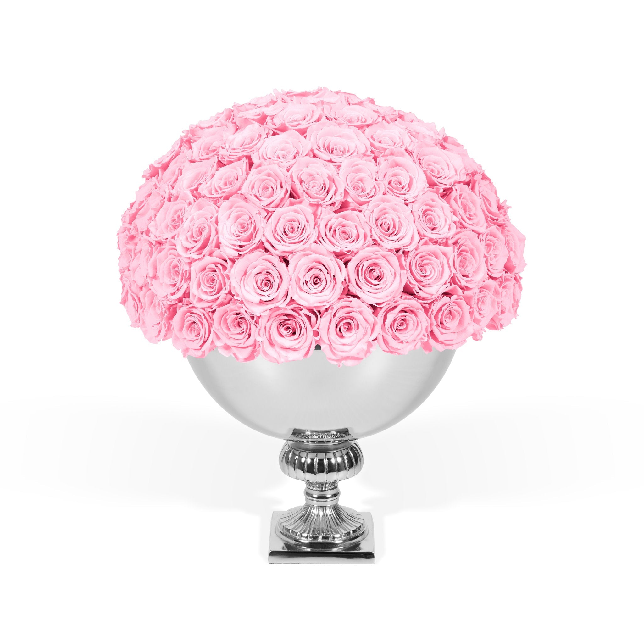 Pink roses in a silver vase on a white background