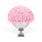 Pink roses in a silver vase on a white background
