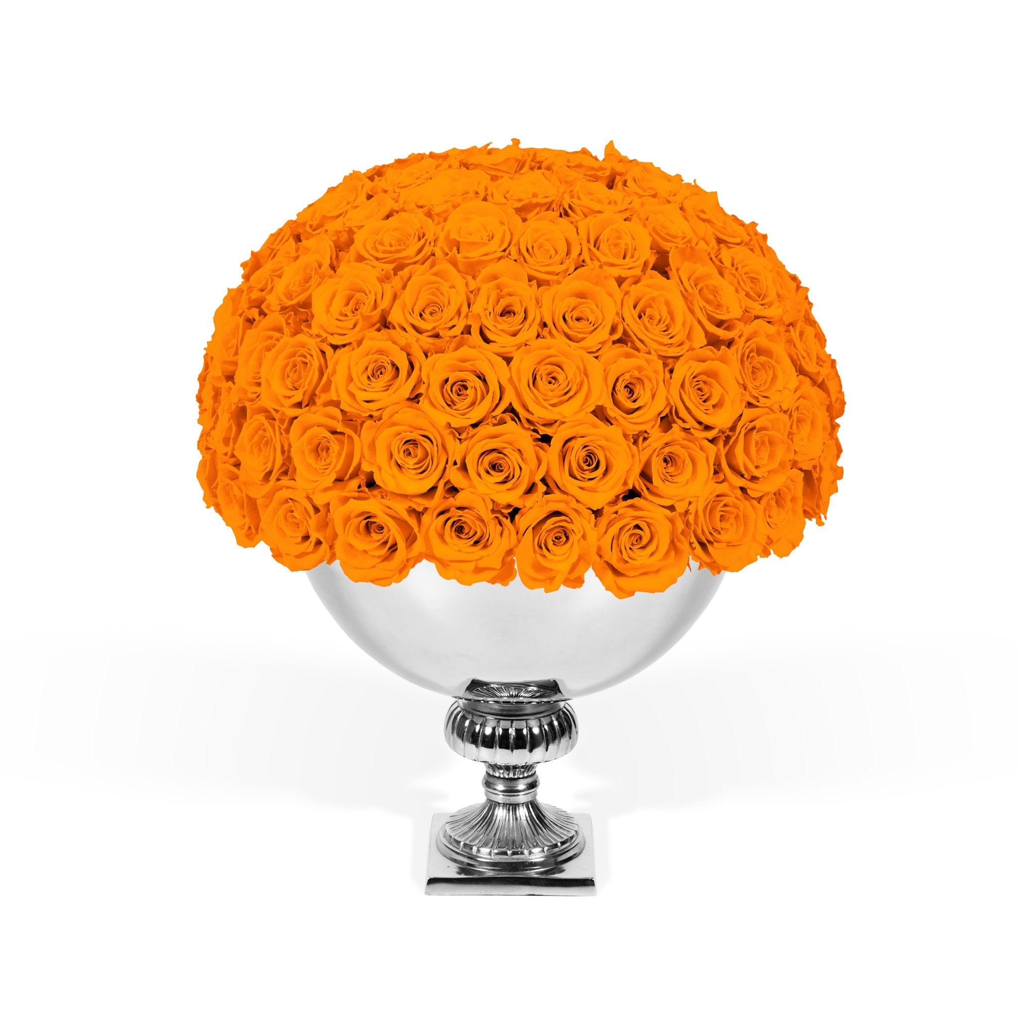 Bouquet of orange roses in a silver vase on a white background