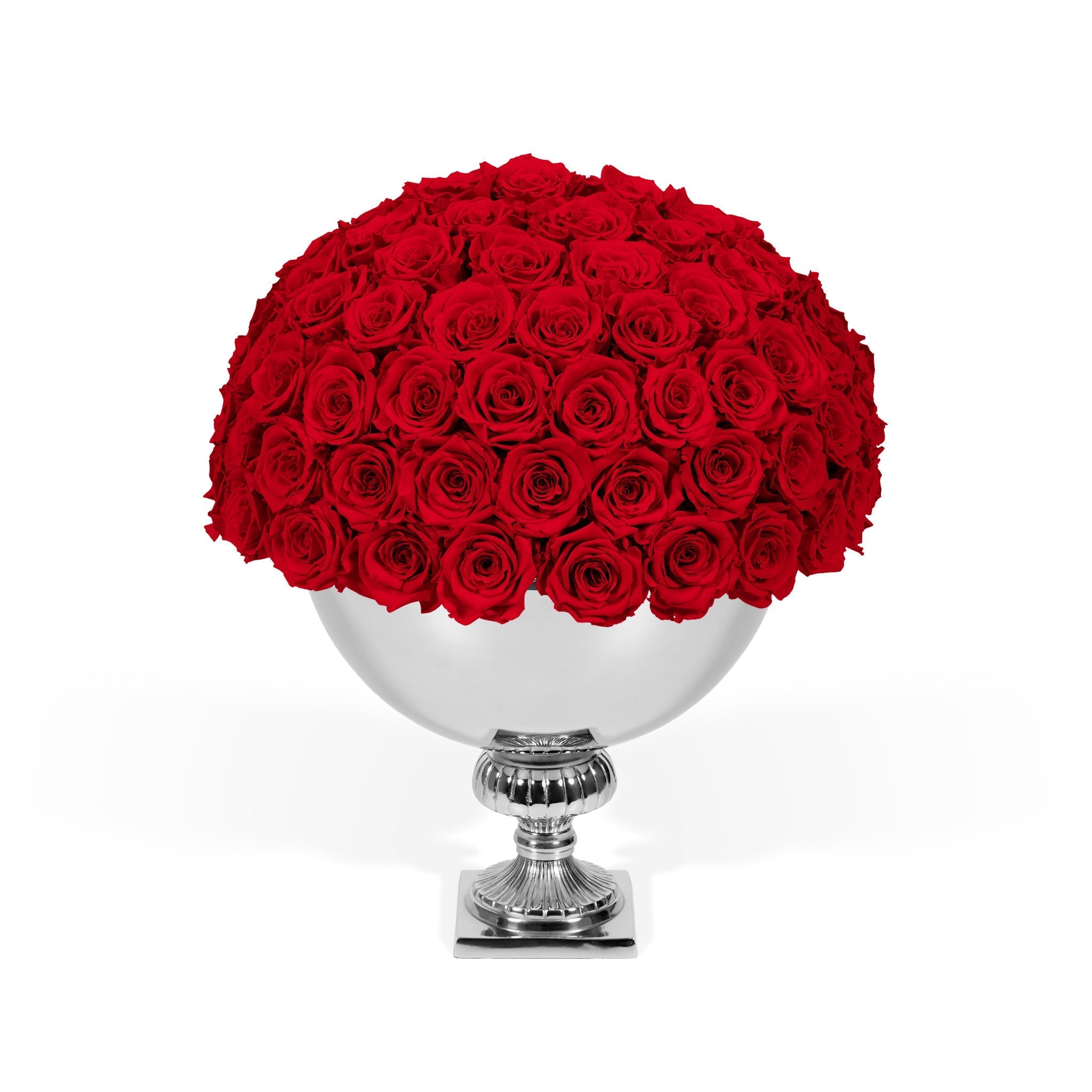 Bouquet of red roses in a silver vase on a white background