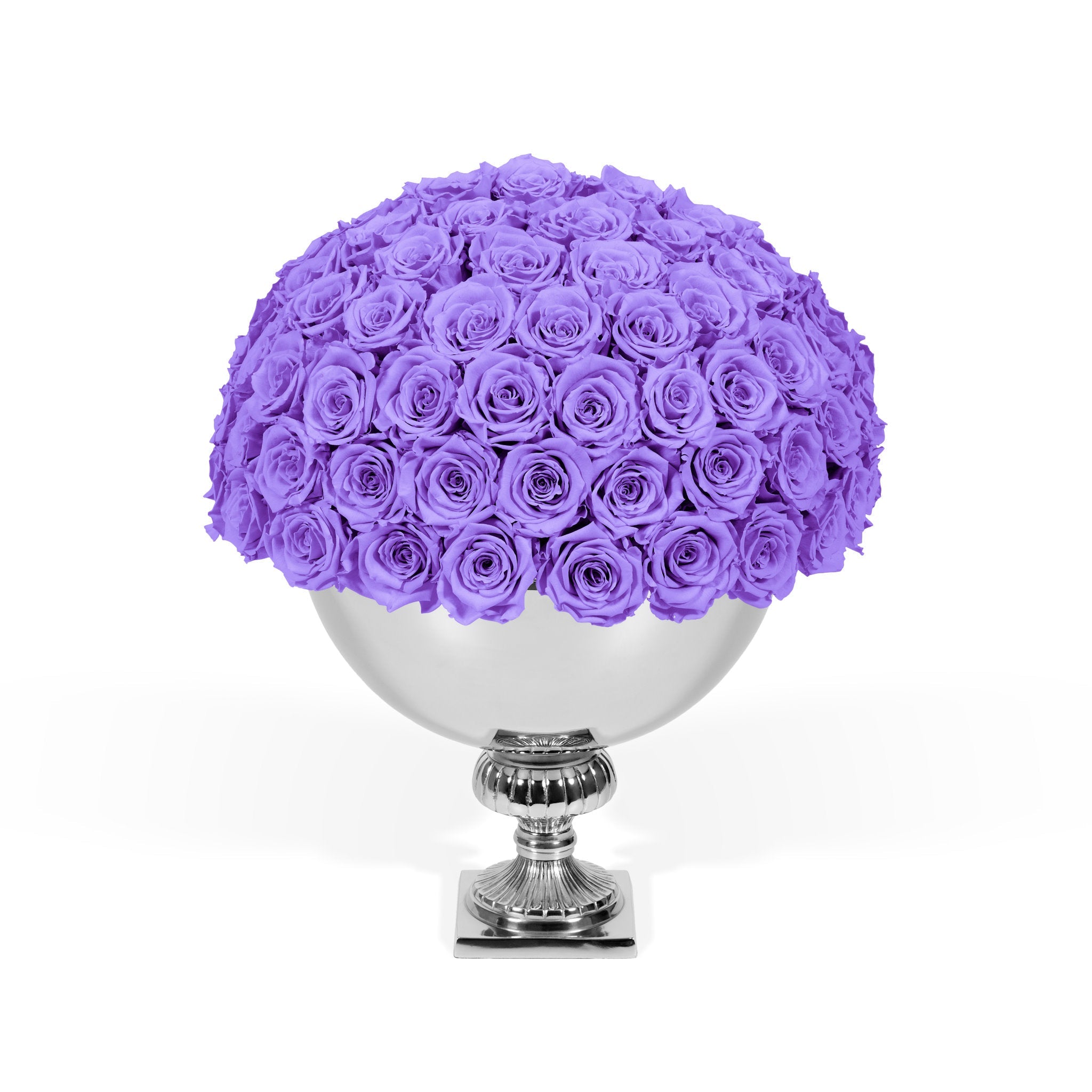 Bouquet of purple roses in a silver vase on a white background