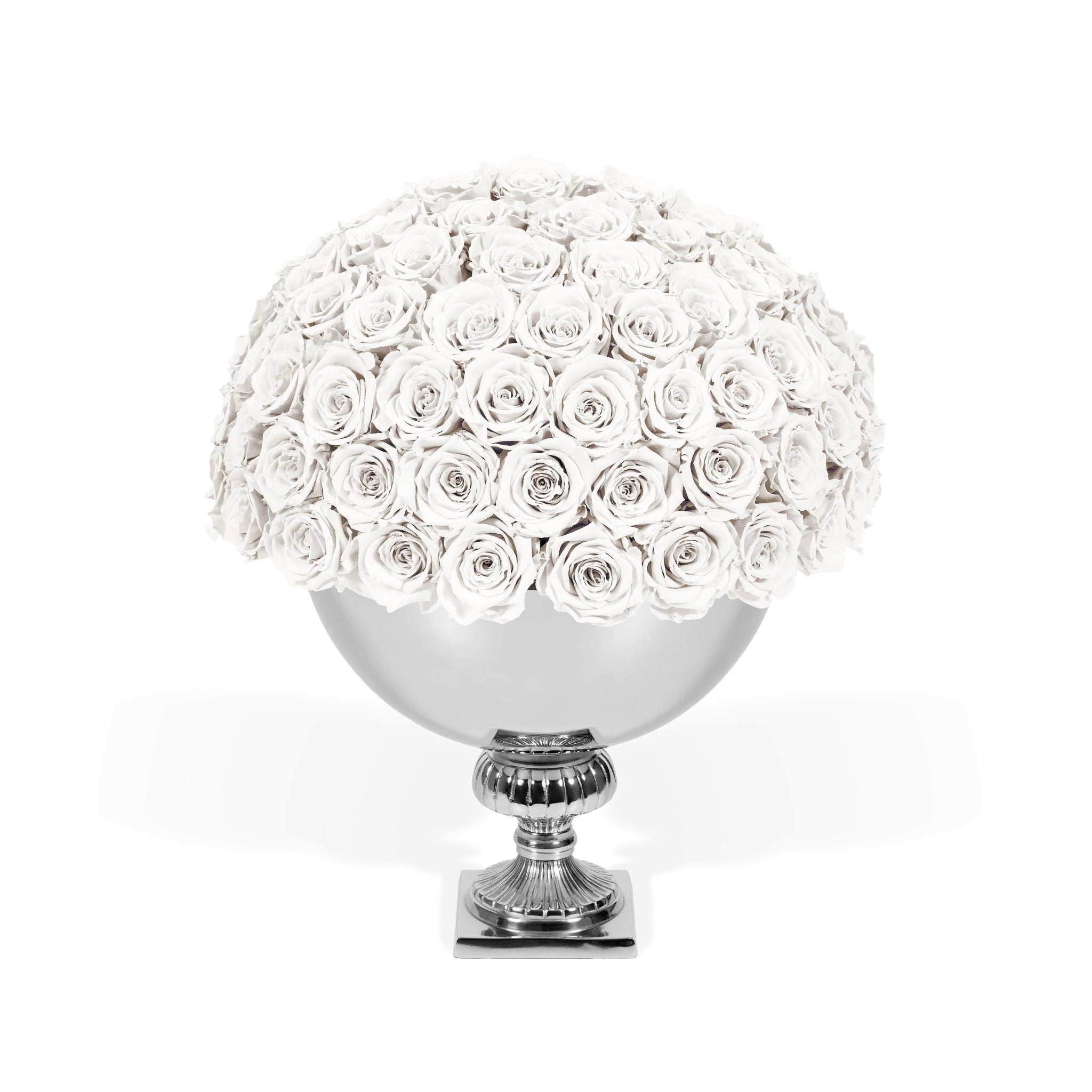 Decorative vase with white roses on a white background