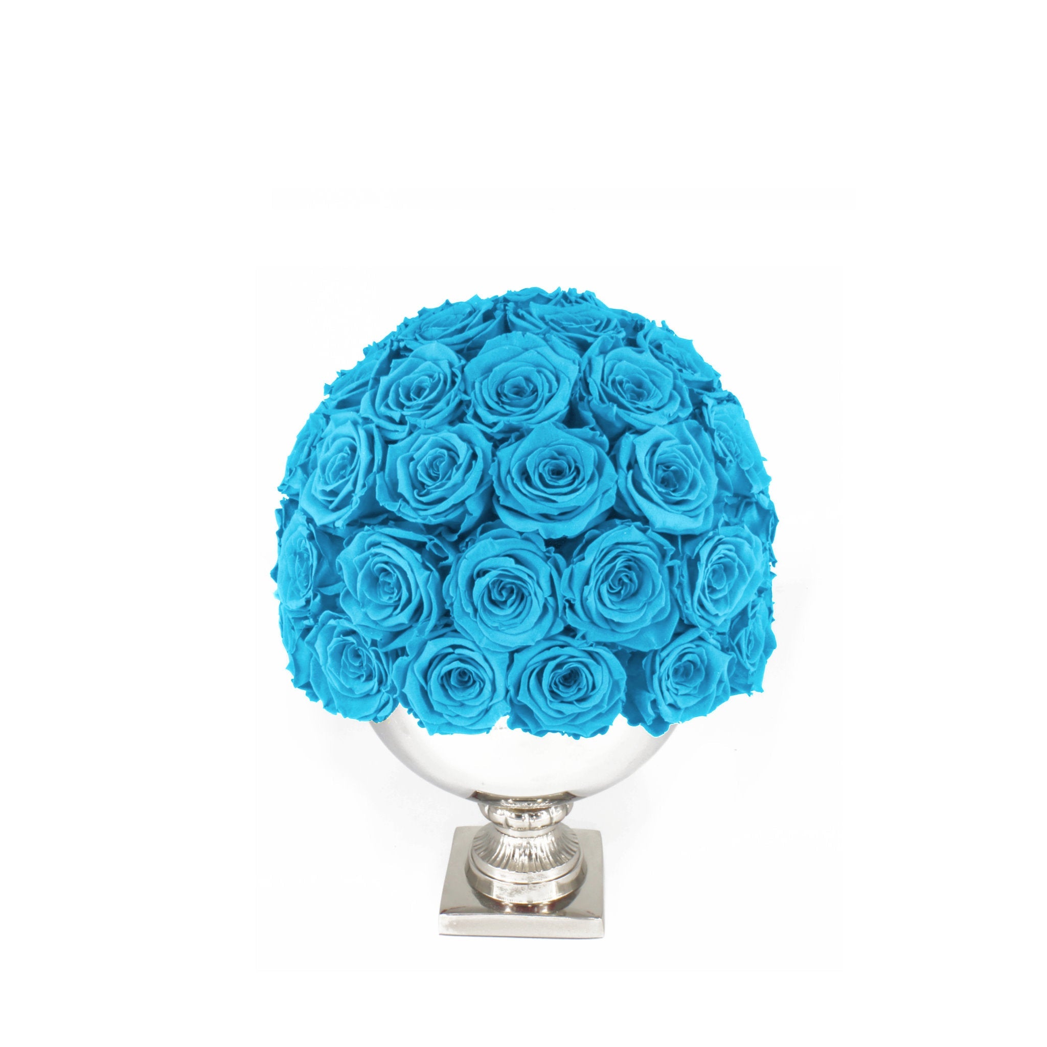 Blue roses in a white vase on a white background