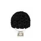 Black roses in a white vase on a white background