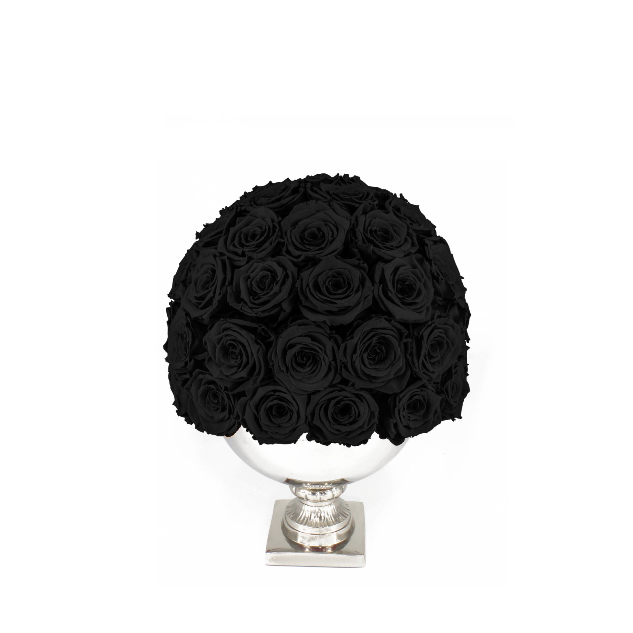 Black roses in a white vase on a white background
