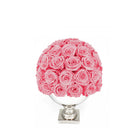 Pink rose ball in a white vase on a white background