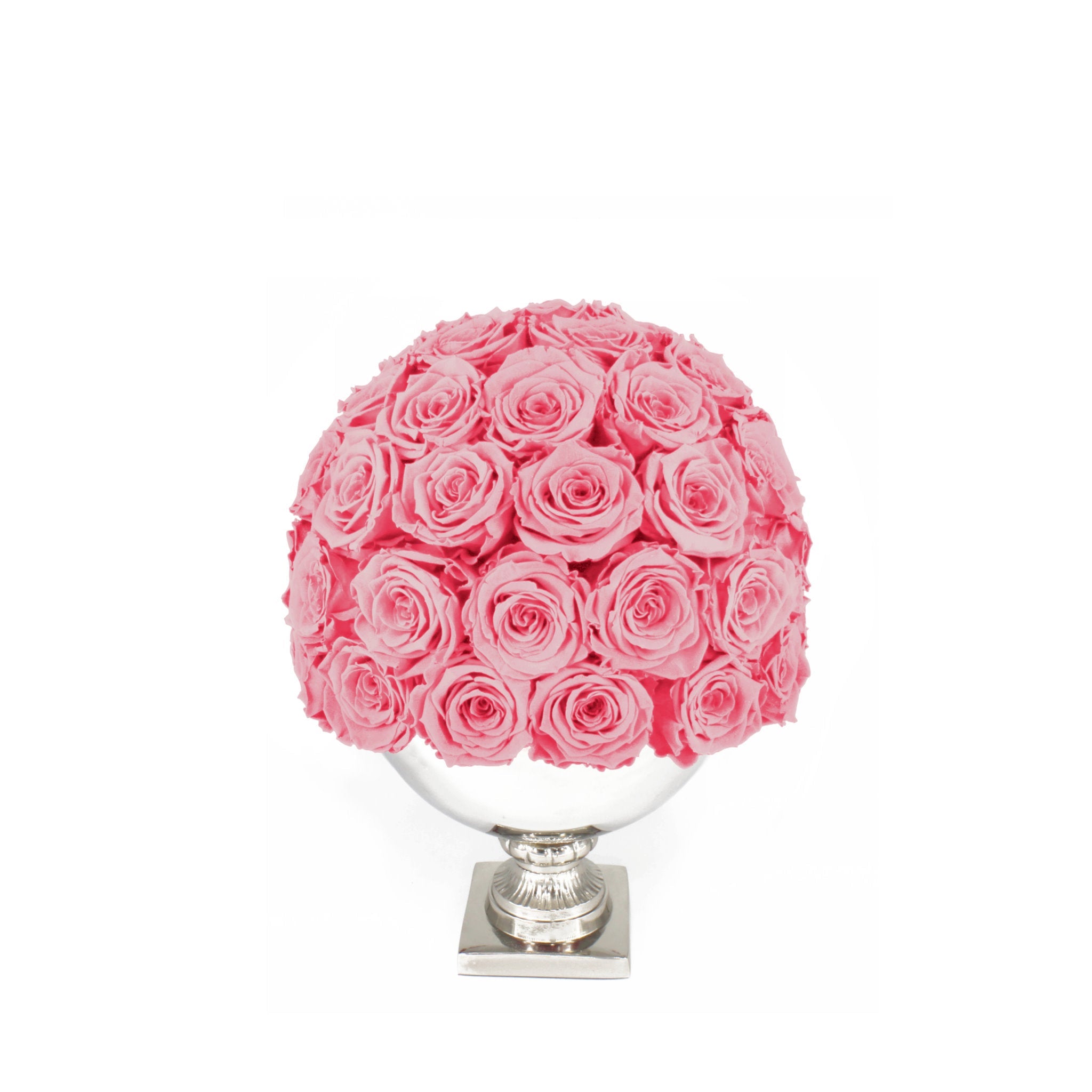Pink rose ball in a white vase on a white background