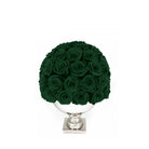 White vase with green roses on a white background
