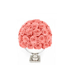 Bouquet of pink roses in a white vase on a white background