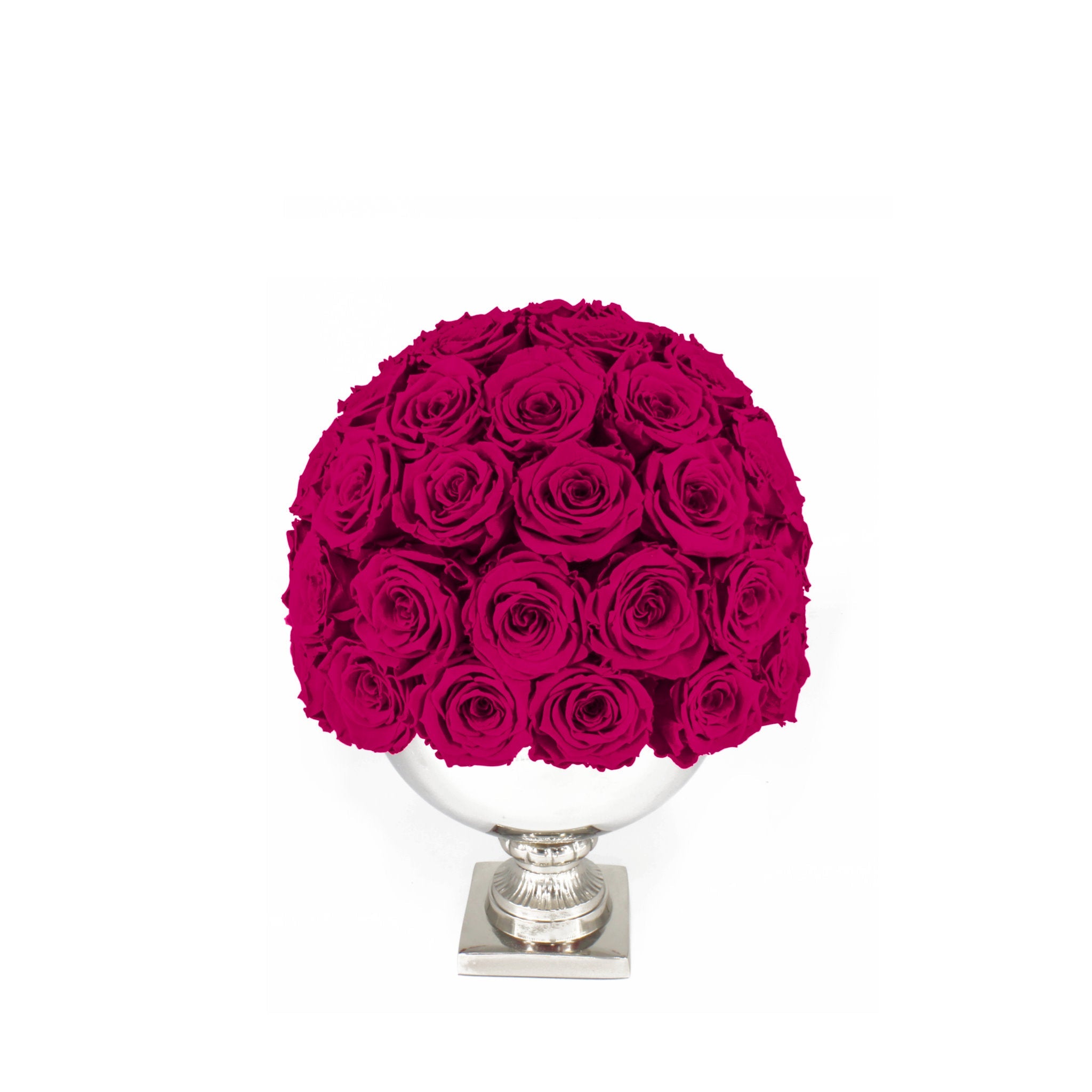 Bouquet of bright pink roses in a white vase on a white background