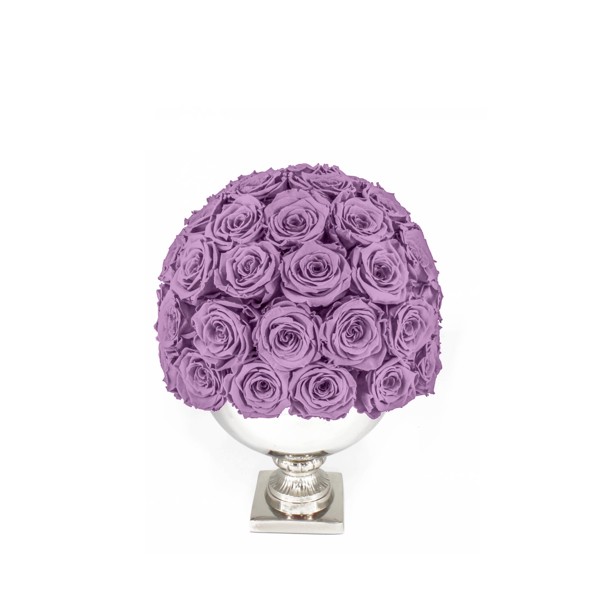 Purple rose ball in a white vase on a white background