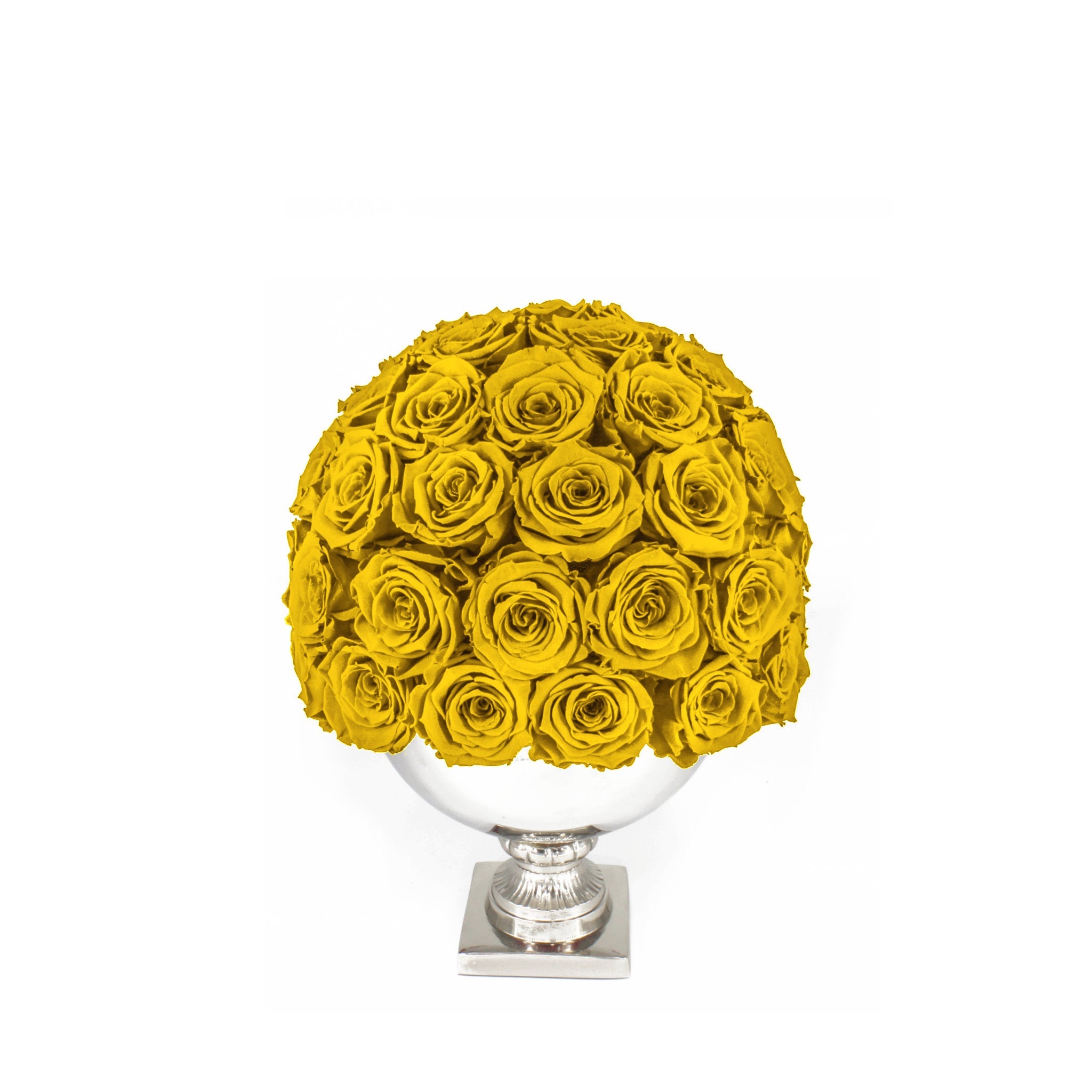 Bouquet of yellow roses in a white vase on a white background