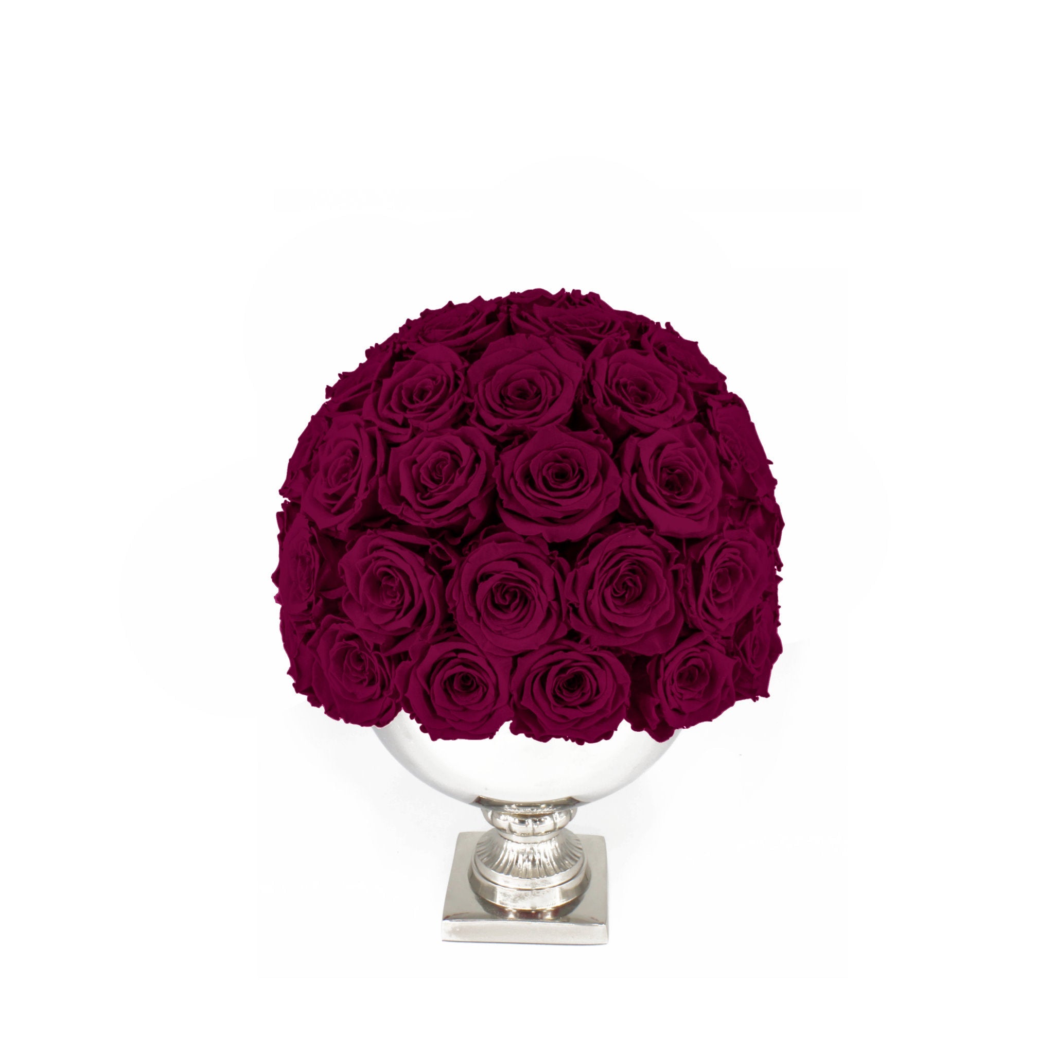 Bouquet of dark red roses in a white vase on a white background