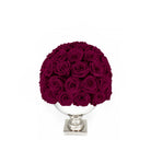 Bouquet of dark red roses in a white vase on a white background