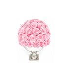 Pink rose ball in a white vase on a white background