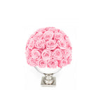 Pink rose ball in a white vase on a white background