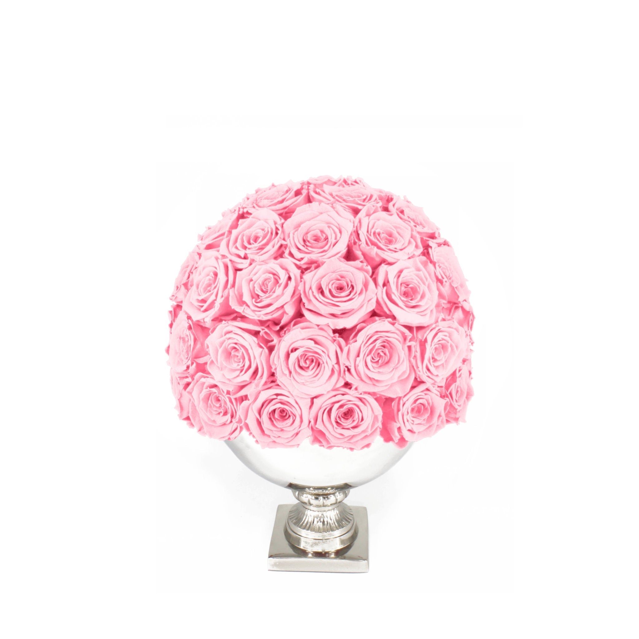 Pink rose ball in a white vase on a white background