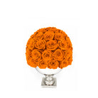 Bouquet of orange roses in a white vase on a white background