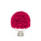 Bouquet of red roses in a white vase on a white background