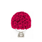 Bouquet of red roses in a white vase on a white background