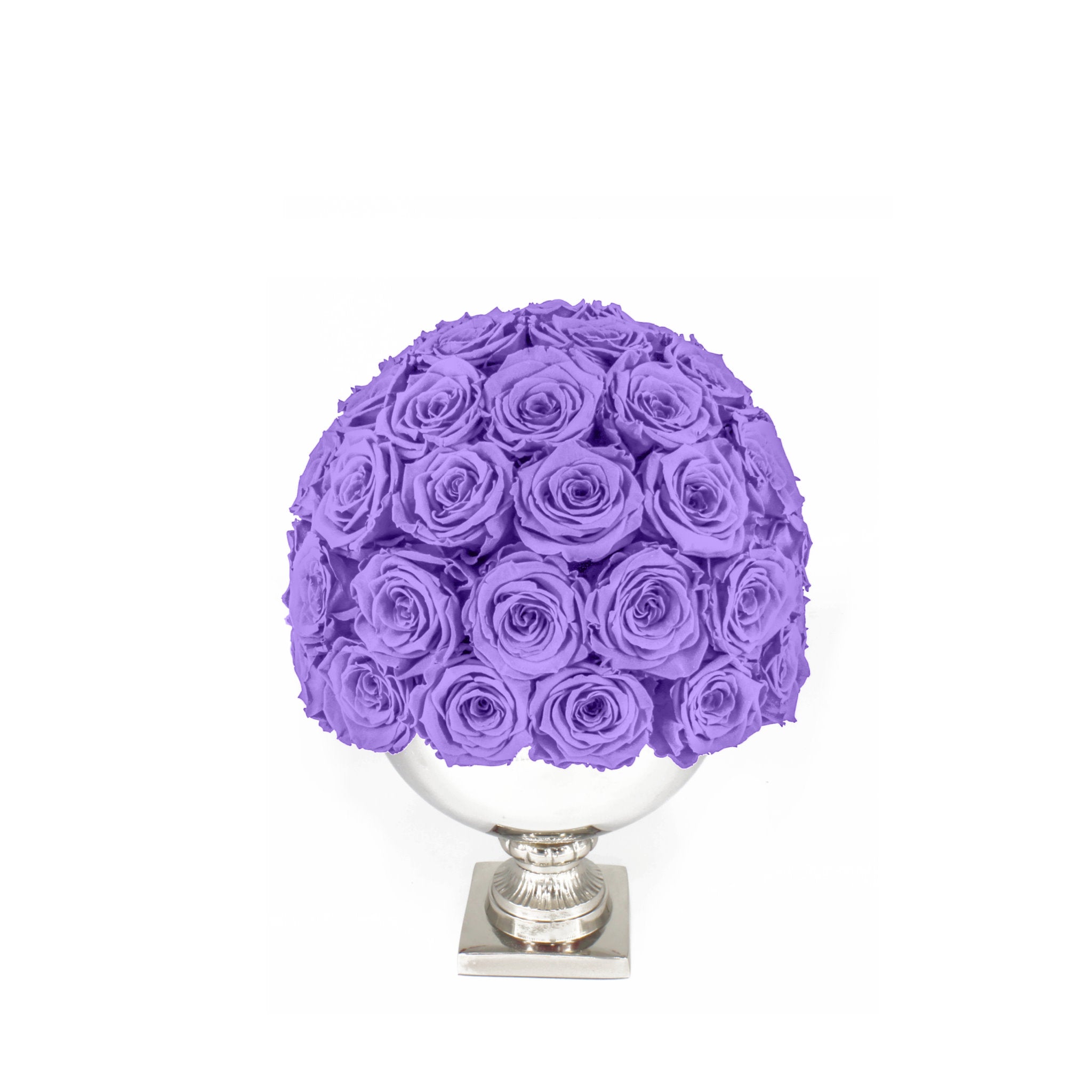 Purple roses in a white vase on a white background