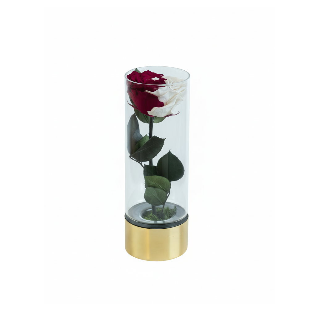 Infinity Roses Qatar Qatar National Day Ebony | Luxury Roses London | OnlyRoses