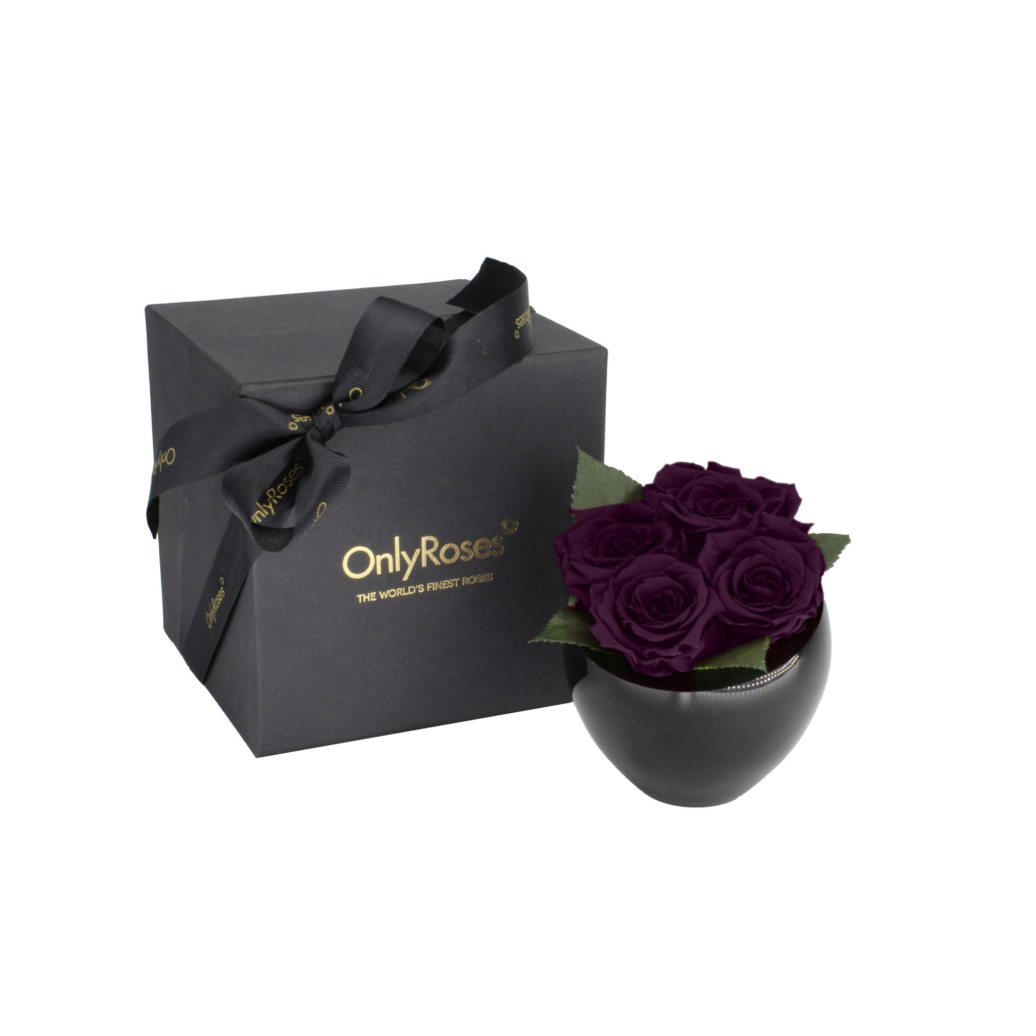 Black box with a bow and 'Only Roses' branding next to a black container with purple roses on a white background