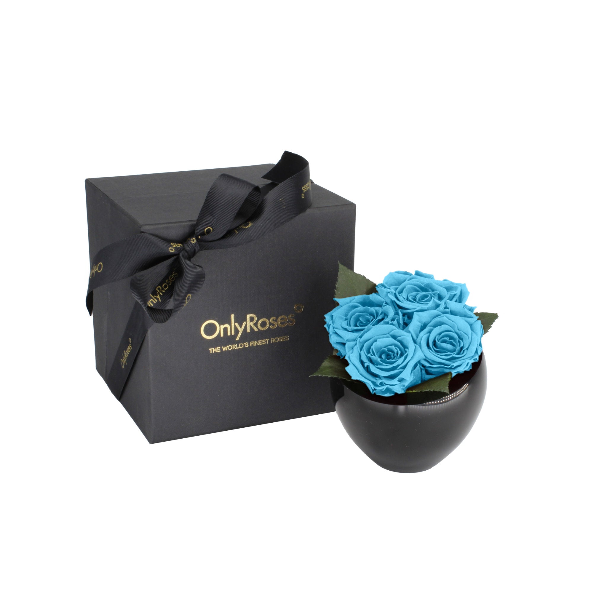 Black box with a bow and 'Only Roses' branding next to a black vase with blue roses on a white background