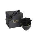 Black roses in a bowl with a matching 'Only Roses' box on a white background