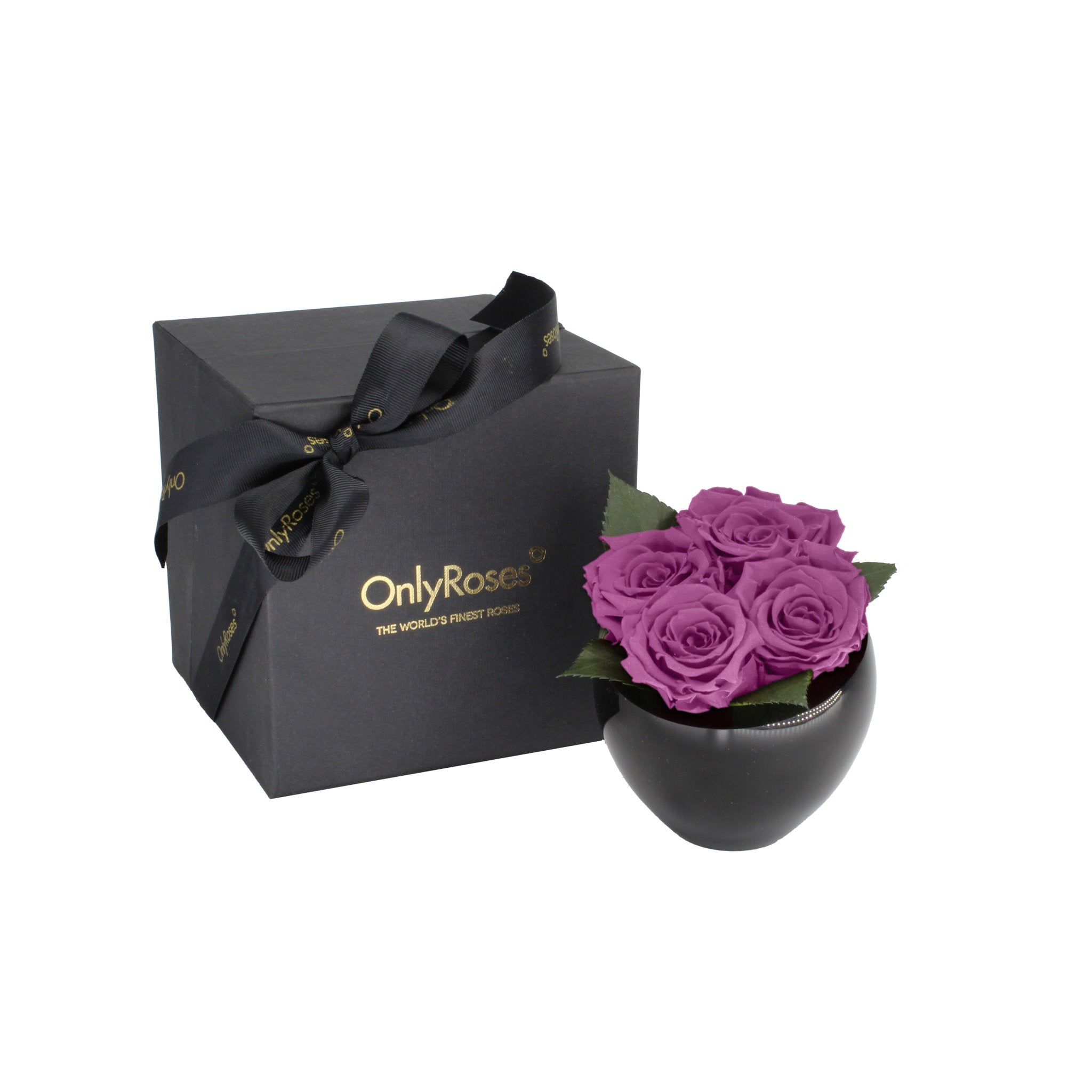 Black gift box with 'Only Roses' branding next to a black vase with purple roses on a white background