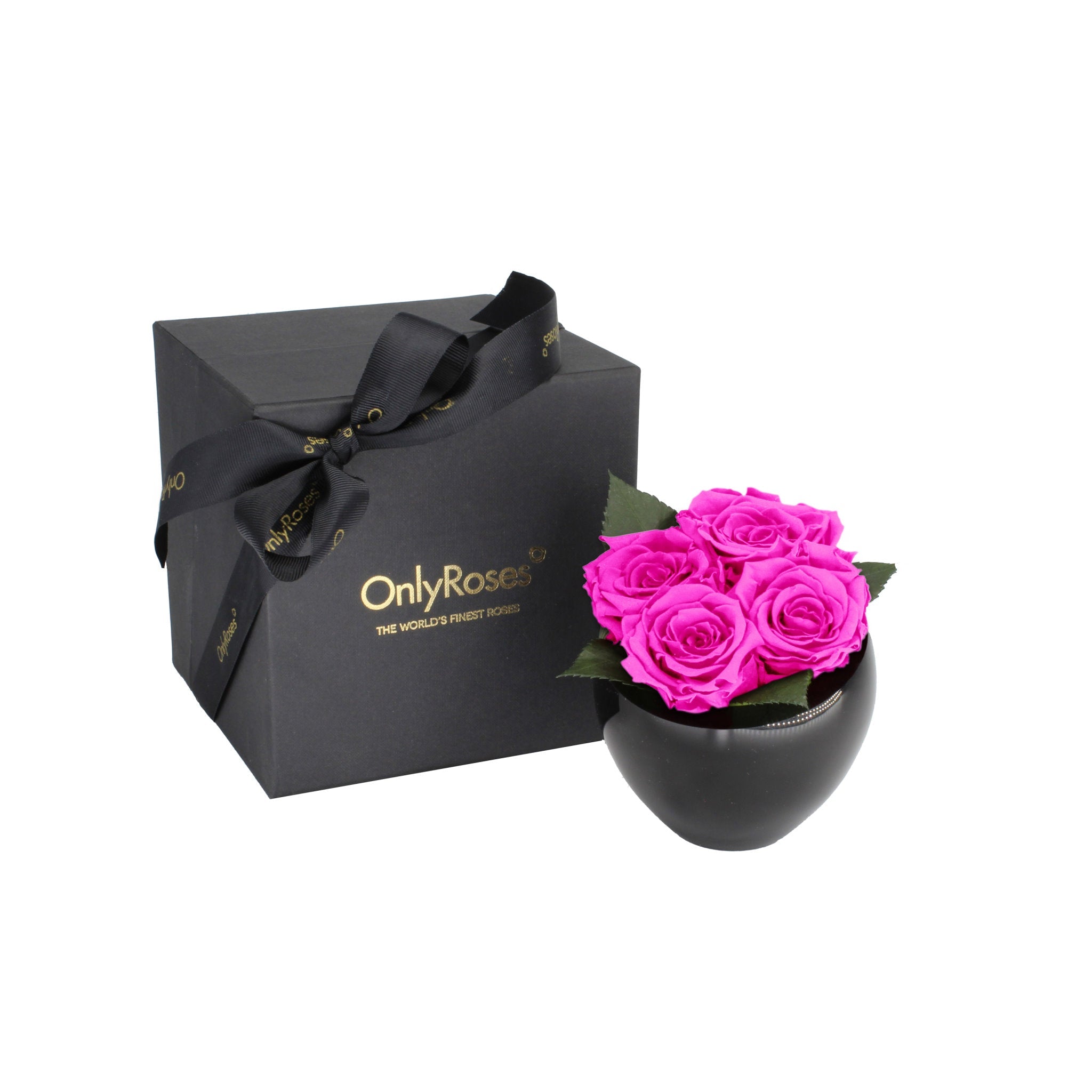 Black box with a bow and pink roses in a black container on a white background