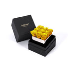Open black box with yellow roses and 'Only Roses' branding on a white background
