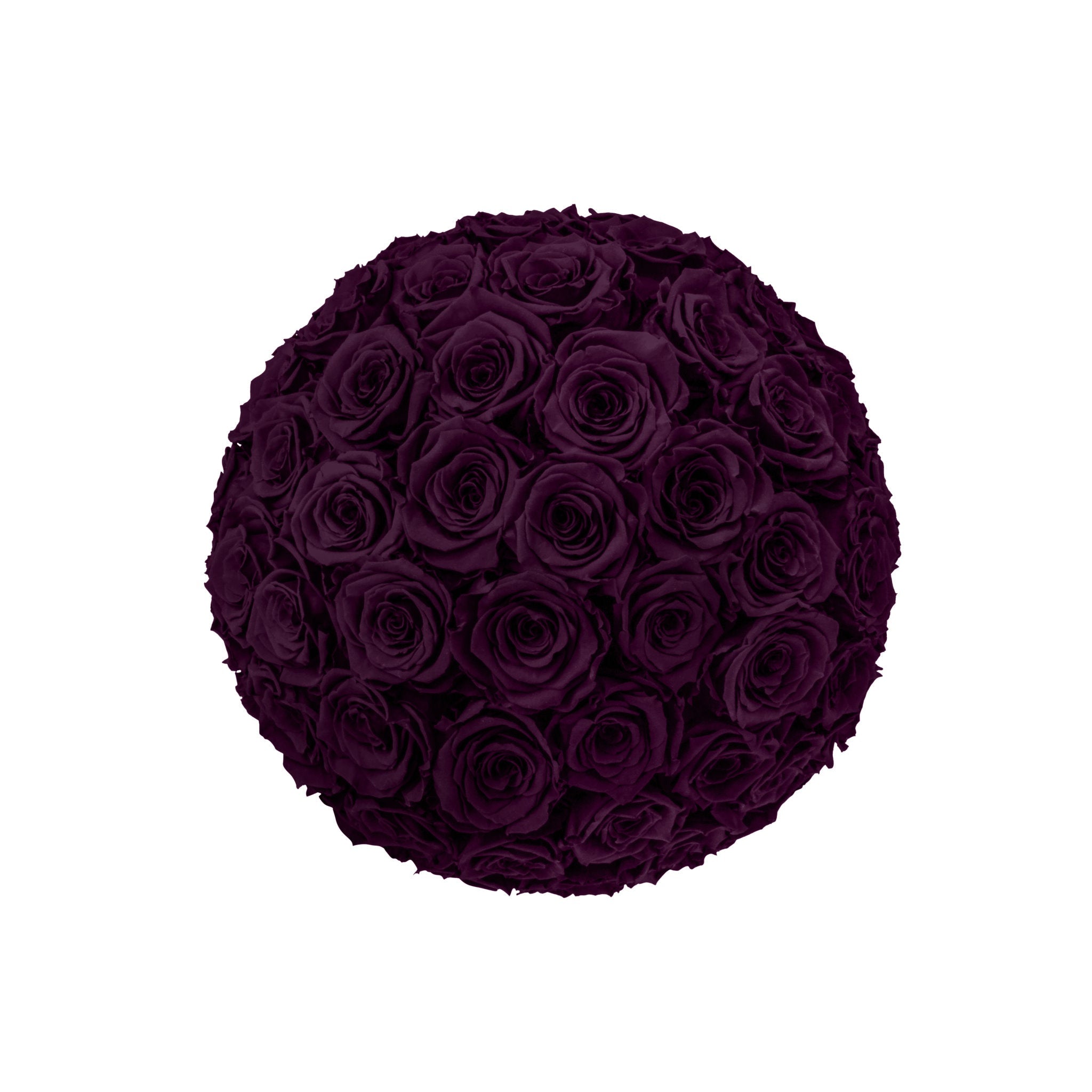 Round arrangement of dark purple roses on a white background