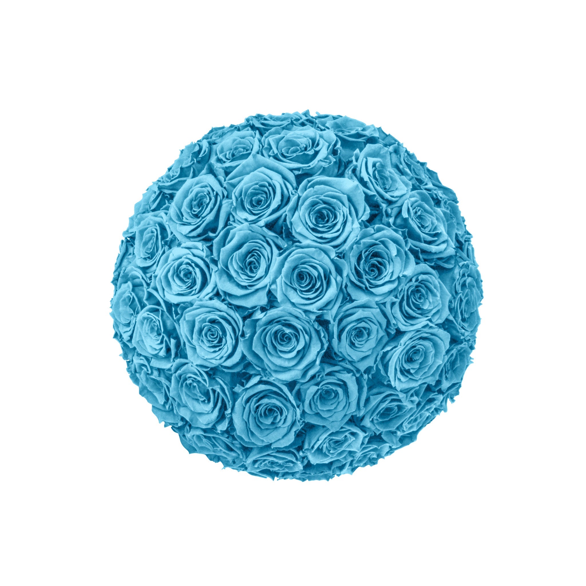 Blue rose ball on a white background