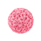 Pink rose ball on a white background