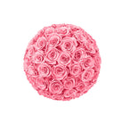 Pink rose ball on a white background