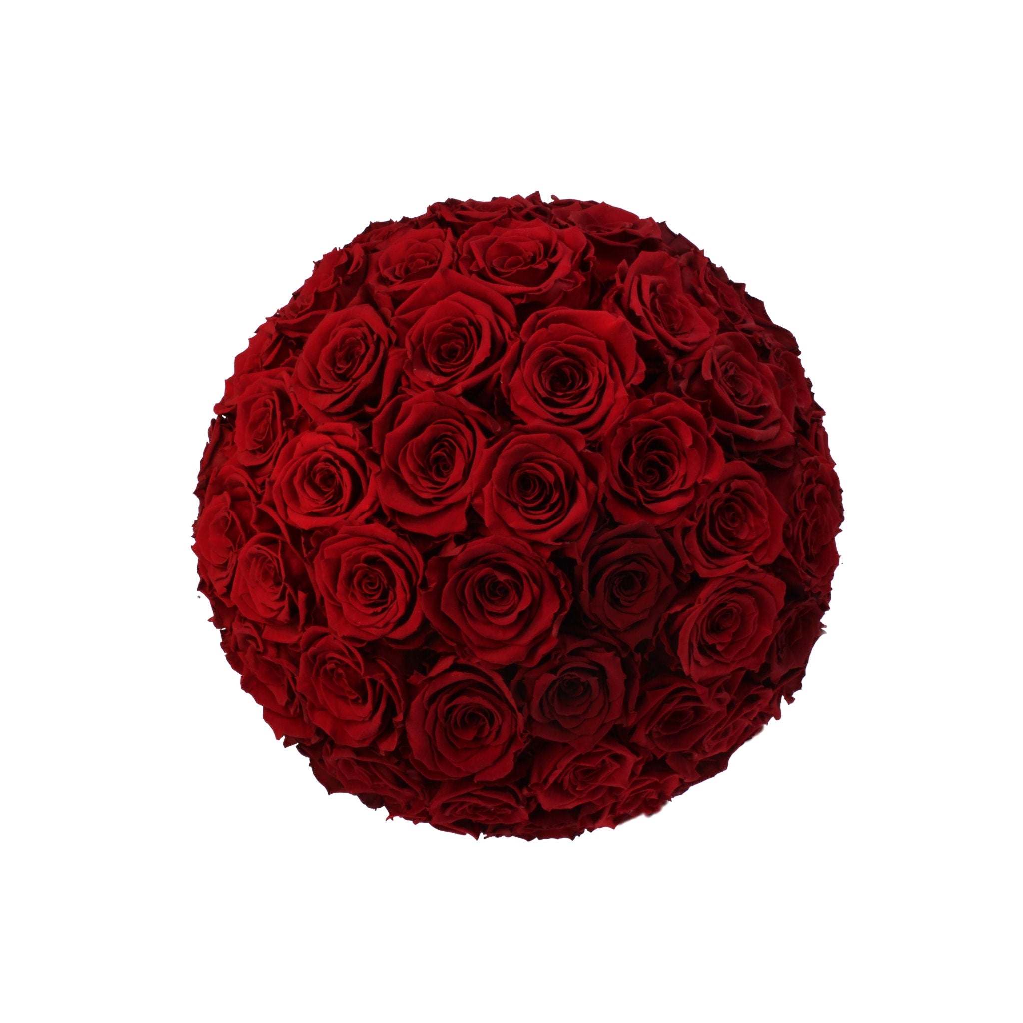 Round arrangement of red roses on a white background