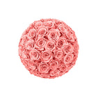 Pink rose ball on a white background
