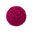 Ball of pink roses on a white background