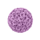 Ball of purple roses on a white background