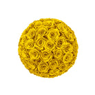 Yellow rose ball on a white background
