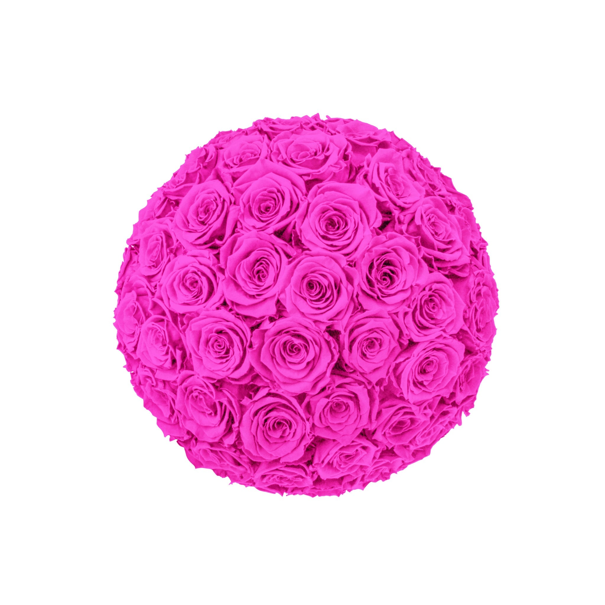 Ball of pink roses on a white background