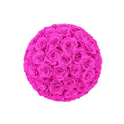 Ball of pink roses on a white background