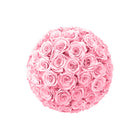 Ball of pink roses on a white background