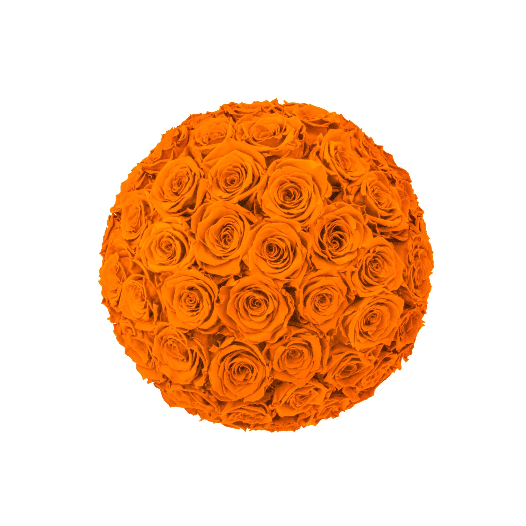Ball of orange roses on a white background