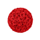 Ball of red roses on a white background